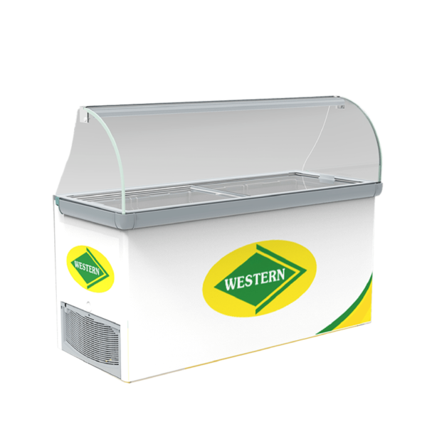 Double Door 536 L Western Scooping Freezer - F550GT25